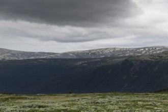 Fjell landscape, pilgrimage route Olavsweg or Olavsleden, old Kongevegen or King's Road across