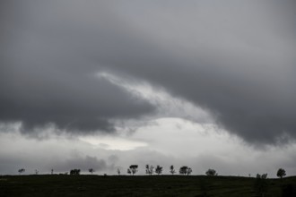 Silhouettes of trees on the horizon, dark clouds, old Kongevegen or King's Road over Dovrefjell,