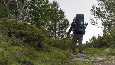 Pilgrims with heavy rucksacks, pilgrimage route Olavsweg or Olavsleden, old Kongevegen or King's
