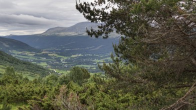 Panoramic view of a green valley, Gudbrandsdalen or Gudbrandsdalen, Norway