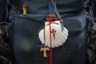 Back of a rucksack with banana, scallop shell and olive wood dew cross, pilgrimage route Olavsweg