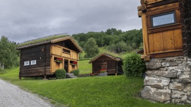 Grass-roofed houses in a rural setting, Gudbrandsdalen or Gudbrandsdalen Valley, Norway