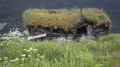 Abandoned, dilapidated wooden hut with grass roof in a green landscape against a mountain backdrop,