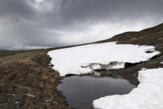Hiker on a lonely plateau with residual snowfields, low clouds, Kongevegen or King's Road,
