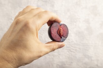 Purple Plum Cut in half with hand on gray concrete background. Side view, close up. healthy food,