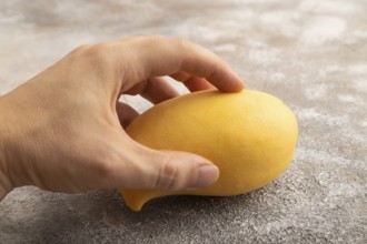 Orange mango with hand on concrete background. Side view, copy space. healthy food, minimalism