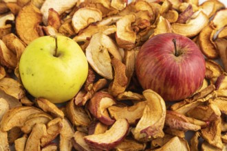 Dried Apples, texture, Side view, close up. healthy food, minimalism. sweet
