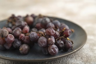 Bunches of rotten and Dry Red wine grapes on blue plate on brown concrete background, harvest,