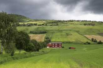 Bauernhof inmitten von Felder, üppiges Budsjord, Dovre, Gudbrandsdalen oder Gudbrandstal, Norwegen