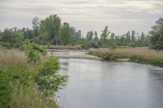 Blick vom Aussichtsturm auf die Isar, Plattling, Bayern, Deutschland