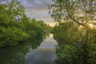 Sonnenuntergangsstimmung beim Grafenmühlbach, Infozentrum Isarmündung, Moos, Bayern, Deutschland
