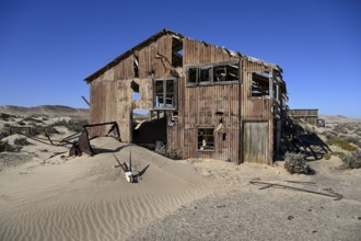 Schädel einer Oryx-Altilope (Oryx gazella) vor einer Ruine der ehemaligen Diamantenstadt Pomona,