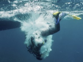 Eine Taucherin ist mit einer Rolle rückwärts vom Boot gesprungen und bricht durch die