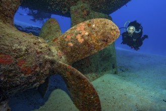 Unterwasserfoto von Taucherin blickt auf betrachtet Schiffsschraube von untergegangenes Schiff