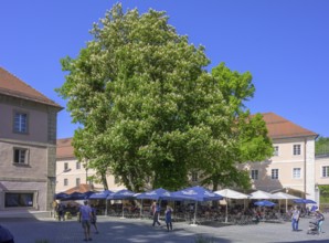 Biergarten Kloster Weltenburg, Kelheim, Bayern, Deutschland