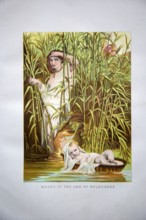 Nineteenth century Victorian Bible story illustration in Chromo-Lithography, Moses in the Ark of