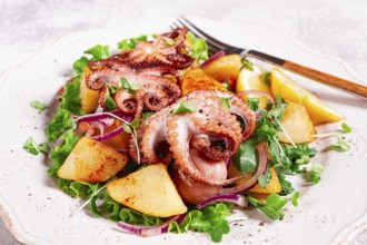 Grilled octopus with baked potatoes and fresh herbs, on a decorative light plate, homemade, no
