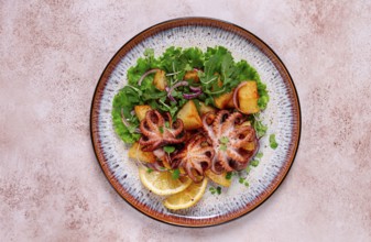 Grilled octopus with baked potatoes and fresh herbs, on a decorative plate, homemade