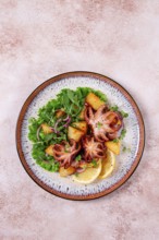 Grilled octopus with baked potatoes and fresh herbs, on a decorative plate, homemade