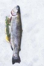 Freshly caught rainbow trout with herbs and citrus arranged on a light textured surface