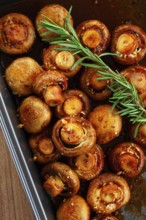 Fried mushrooms, with spices, in soy sauce, vegetarian food, homemade, no people
