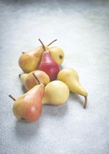 Small pears, Duchess variety, scattered on the table, top view, no people