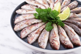 Fresh mullet fish, laid out on a large platter, garnished with lime slices and cilantro, top view