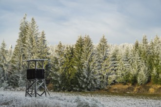Hunting pulpit on a meadow in a valley surrounded by a mixed forest with norway spruce (Picea