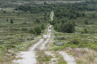 Pilger mit Rucksack auf dem historischen Kongsvegen oder Königsweg, der über das Fjell führt,