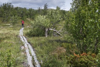 Pilger mit rotem Rucksack auf einem durch Holzplanken befestigen Weg, der über das Fjell führt,