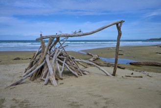 Treibholzskulptur Zelt am Strand unter blauem Himmel, ruhiges Meer im Hintergrund, Kaka Point,