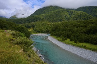 Ein klarer Fluss schlängelt sich durch eine grüne Waldlandschaft mit Bergen im Hintergrund unter