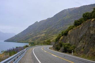 Küstenstraße mit Felsen und Vegetation unter einem bewölkten Himmel, Lake Wanaka, The Neck, Otago,
