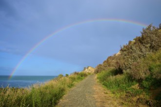 Ein Regenbogen spannt sich über einen Küstenpfad am Meer entlang, Moeraki, Hampden, North Otago,