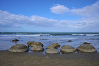 Runde Felsen verteilen sich am Strand unter einem blauen Himmel mit Wolken, Moeraki Boulders,