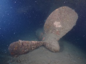 Large overgrown ship propeller of a wreck rests on the seabed in the dark. Dive site wreck of the