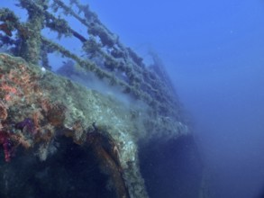 Rusty metal structure of a wreck under water, overgrown with marine life. Dive site wreck of the
