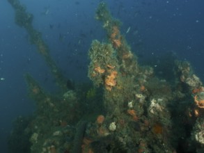 The superstructure of a shipwreck overgrown with algae and sponges in the deep ocean. Dive site