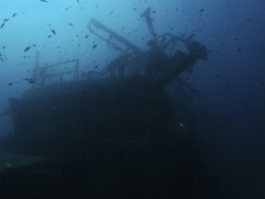 Dark shipwreck, surrounded by a school of fish, dark, mysterious atmosphere. Dive site Wreck of the