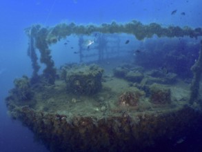 Bow of a shipwreck at depth, with fish, surrounded by blue water. Dive site Wreck of the Vis, Pula,