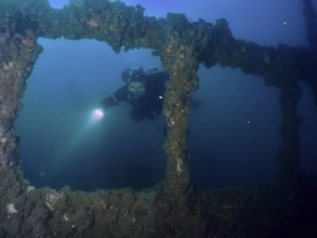 A diver explores the windows of a shipwreck with a lamp. Dive site wreck of the Baron Gautsch,