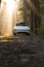 An SUV on a forest floor, illuminated by rays of light, surrounded by trees and natural
