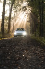 A car parked on a natural forest path while the morning sun shines through the trees, Tesla Model Y