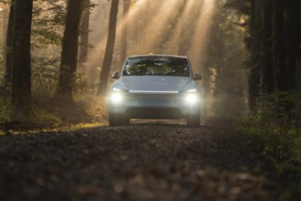 A car on a forest path, surrounded by trees and penetrated by the sun's rays at dawn, Tesla Model Y
