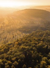 Dense forest and hilly landscape in the golden light of the morning, Hermann Hesse railway,