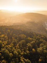 Foggy light falls on a wooded hilly landscape at sunrise, Hermann Hesse railway, Ostelsheim, Black