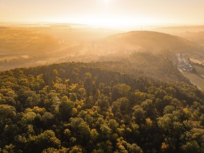 Autumnal forest landscape in the hazy light of the rising sun, Hermann Hesse Bahn, Ostelsheim,