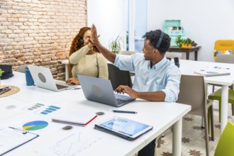 Diverse business colleagues working at laptops, high fiving to celebrate a shared achievement or
