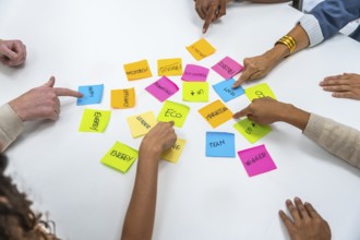 Diverse business professionals collaborating, pointing at colorful sticky notes with written