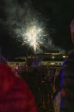 Fireworks light up the night sky while spectators watch in the dark, Fire Night, Sindelfingen,